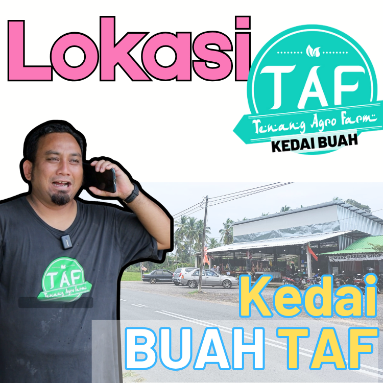 Kedai Buah TAF